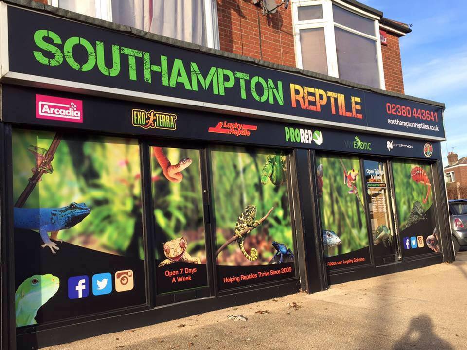 Southampton Reptile UK's Top Exotic Animals